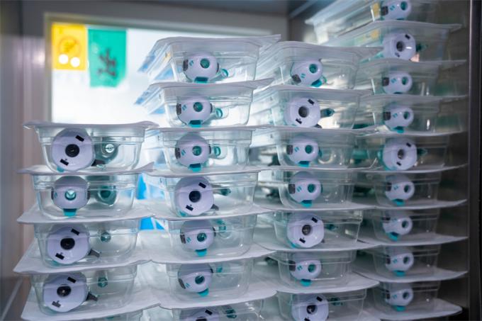 Bezzaworowy plastikowy jednorazowy trokar 5 mm do użytku w chirurgii endoskopowej 7